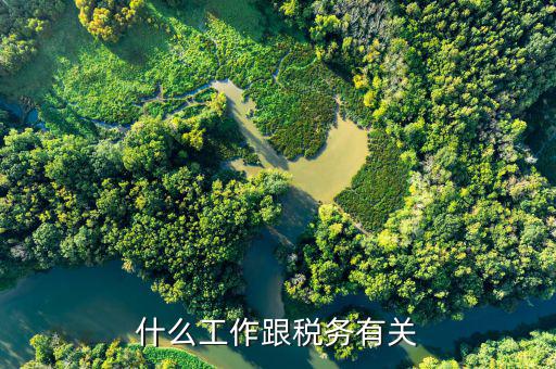 稅務(wù)代理工作是指什么，什么是稅務(wù)代收