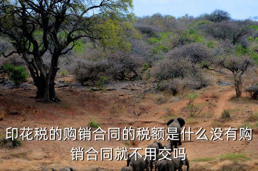 印花稅的購(gòu)銷合同的稅額是什么沒有購(gòu)銷合同就不用交嗎