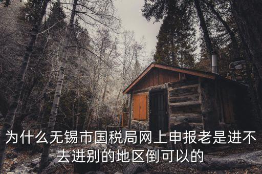 無錫網(wǎng)上辦稅服務(wù)廳為什么進不去，為什么我登錄不上網(wǎng)上辦稅服務(wù)廳啊