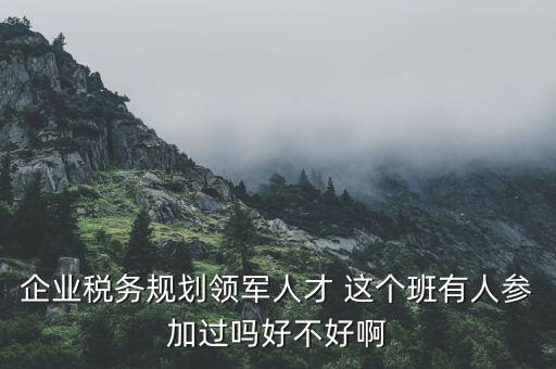 稅務領軍人才做什么，常溫下超導體可用來做什么