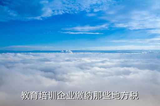 培訓(xùn)機(jī)構(gòu)應(yīng)交什么稅，民辦非企業(yè)培訓(xùn)類學(xué)校應(yīng)交什么稅 請教指點(diǎn)