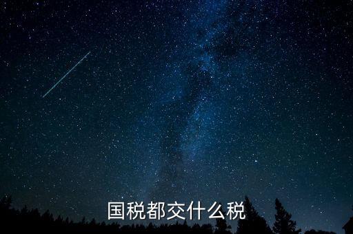 國(guó)稅五項(xiàng)稅種都是什么，國(guó)稅包括哪些稅種