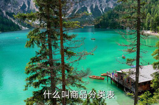 商品服務(wù)分類表包括什么問題，什么叫商品分類表