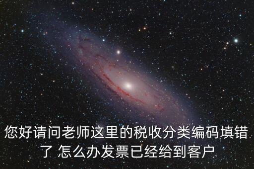 稅收分類編碼錯(cuò)誤的是什么，汽車導(dǎo)航儀稅收分類編碼是什么