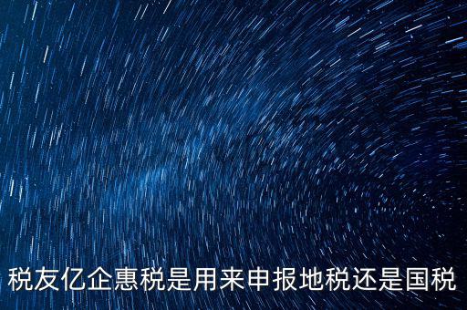 稅友報稅的是什么，稅友億企惠稅是用來申報地稅還是國稅