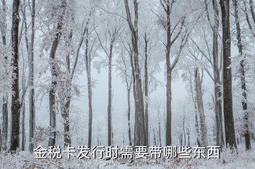 金稅盤(pán)發(fā)行帶什么，金稅卡發(fā)行時(shí)需要帶哪些東西