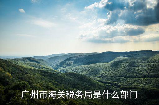 稅務(wù)總局國(guó)際司干什么，國(guó)家稅務(wù)總局是正部級(jí)