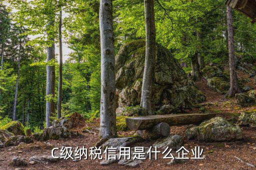 稅務(wù)等級(jí)c級(jí)是什么意思，申請(qǐng)一般納稅人abc類是什么意思