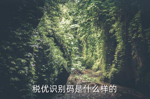 稅優(yōu)碼是什么，稅務(wù)管理碼是什么