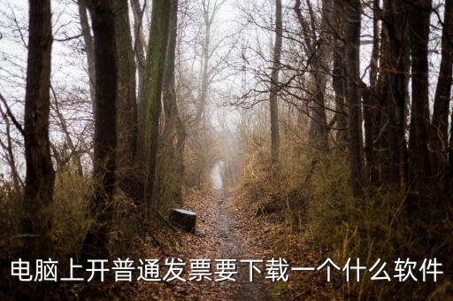 網(wǎng)絡(luò)開(kāi)票需要下載什么軟件下載，電腦打發(fā)票是不是要下載一個(gè)什么軟件