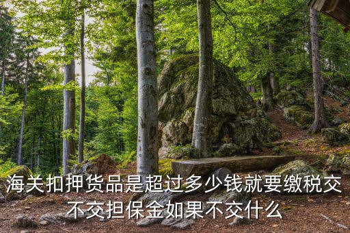 納稅擔(dān)保什么意思，海關(guān)扣押貨品是超過(guò)多少錢(qián)就要繳稅交不交擔(dān)保金如果不交什么