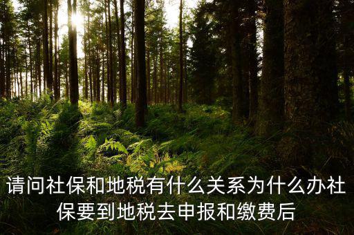 社保和地稅有什么關(guān)系，我現(xiàn)在不知道怎么辦理社保都辦理好了可跟地稅有什么關(guān)系呀