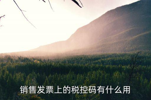 發(fā)票稅控碼是什么，國稅發(fā)票稅控碼