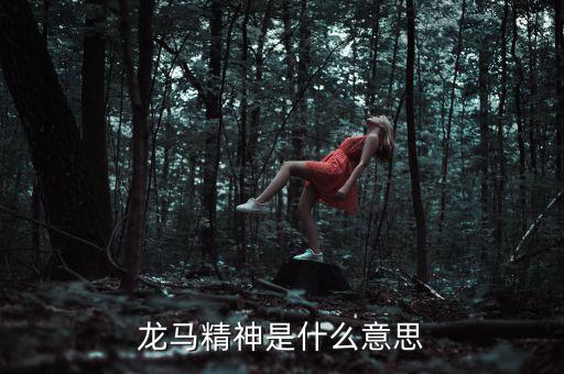 湖北國(guó)稅精神是什么意思，神志不清精神不能集中是什么詞的意思