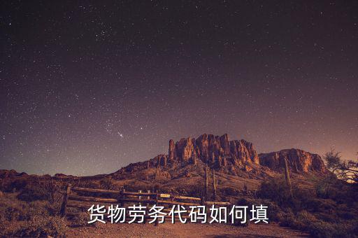 貨物勞務(wù)代碼是什么，貨物勞務(wù)代碼如何填