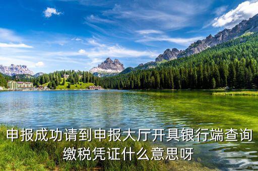 銀行端查詢繳稅憑證蓋什么章，銀行端查詢繳款憑證工會蓋什么章