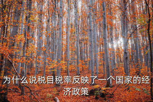 為什么要規(guī)定稅目，稅目是什么意思