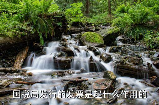 國(guó)家稅務(wù)局發(fā)票有什么用，發(fā)票有哪些作用呢