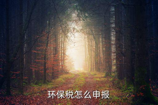 環(huán)境保護稅按什么申報，環(huán)保稅怎么申報