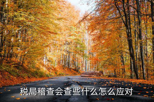 發(fā)票稽查查什么，稅局稽查會查些什么怎么應對