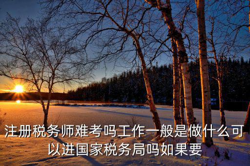 稅務(wù)師是什么，注冊(cè)稅務(wù)師能干什么待遇怎么樣