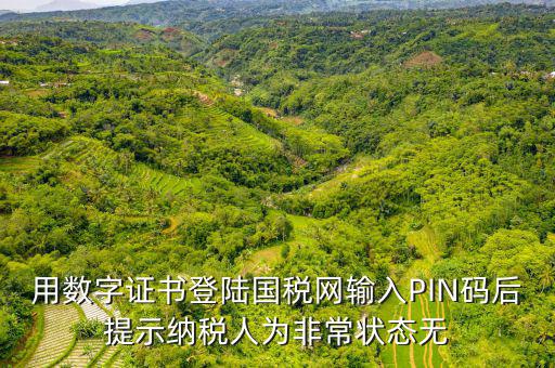 用數(shù)字證書登陸國(guó)稅網(wǎng)輸入PIN碼后提示納稅人為非常狀態(tài)無(wú)