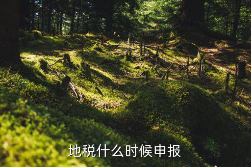 地稅上面基金申報是指什么時候，地稅什么時候申報