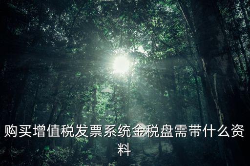 購買金稅盤要什么資料，購買增值稅發(fā)票系統(tǒng)金稅盤需帶什么資料