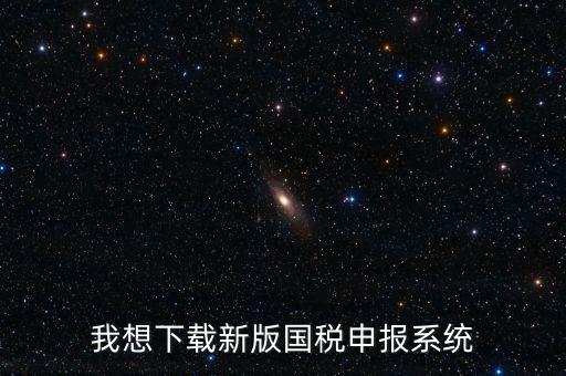 新疆國稅報稅什么系統(tǒng)下載，我想下載新版國稅申報系統(tǒng)