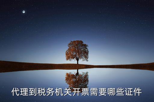 國稅代理開票需要什么，代開普通國稅發(fā)票要什么資料