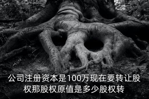 股權(quán)原值是什么意思，公司注冊(cè)資本是100萬(wàn)現(xiàn)在要轉(zhuǎn)讓股權(quán)那股權(quán)原值是多少股權(quán)轉(zhuǎn)