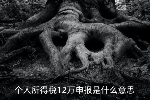 申報個稅是什么意思，12萬以上個人所得稅申報是什么意思