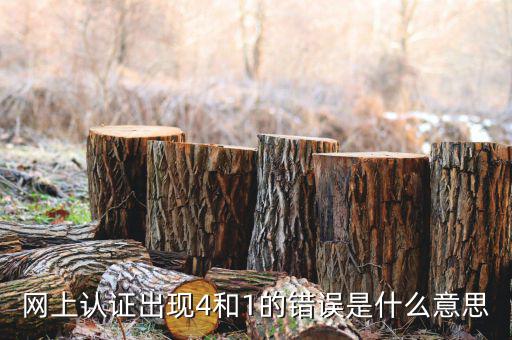 認(rèn)證發(fā)票4是什么問題，認(rèn)證發(fā)票通常會碰到哪些問題