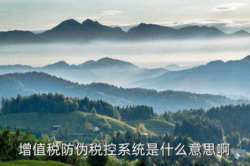 防偽稅控盤是什么，什么是防偽稅控系統(tǒng)金稅請(qǐng)解釋詳細(xì)明白點(diǎn)