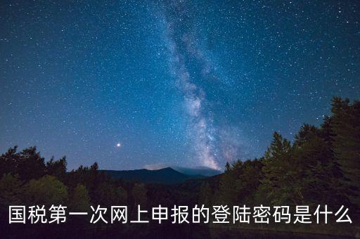 國稅登錄賬號密碼是什么意思，國稅第一次網(wǎng)上申報的登陸密碼是什么