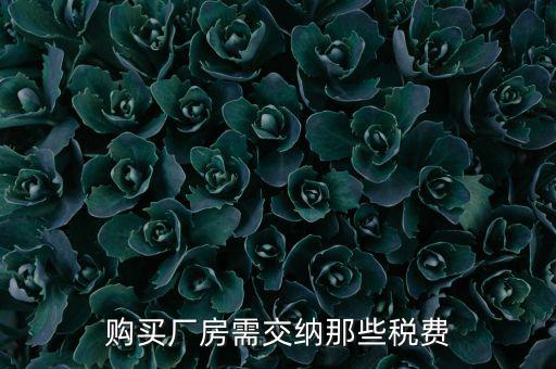 個人買廠房交什么稅，請問在重慶購買一手廠房需要交納那些稅費具體稅率是多少注