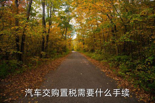 汽車(chē)購(gòu)置稅要什么手續(xù)，購(gòu)買(mǎi)車(chē)輛購(gòu)置稅需要哪些手續(xù)