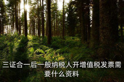 三證合一后刻發(fā)票章需要帶什么資料，三證合一后刻發(fā)票章需要提供什么資料