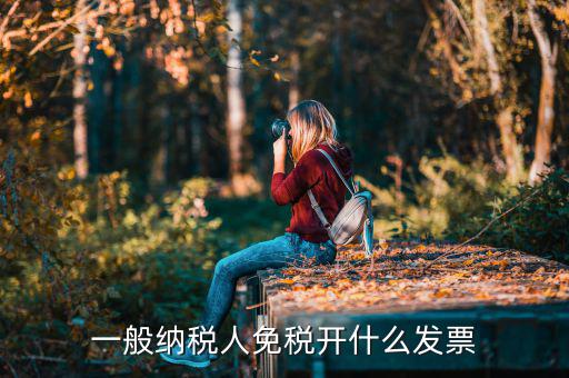 一般納稅人領(lǐng)什么票，一般納稅人免稅開(kāi)什么發(fā)票