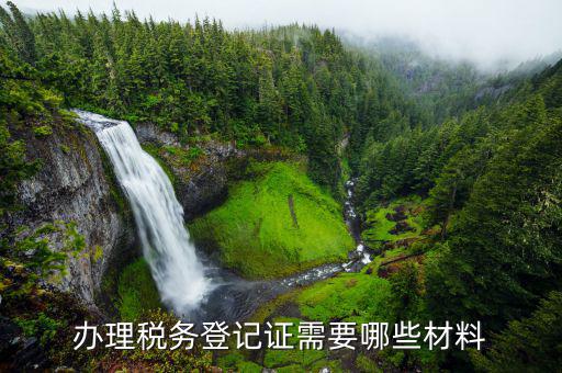 稅務(wù)登記什么資料，辦理稅務(wù)登記要交哪些材料