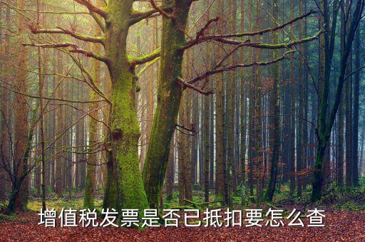 進(jìn)項(xiàng)抵扣發(fā)票什么查，增值稅發(fā)票是否已抵扣要怎么查