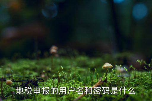 杭州地稅用戶名是什么意思，地稅的用戶名是什么