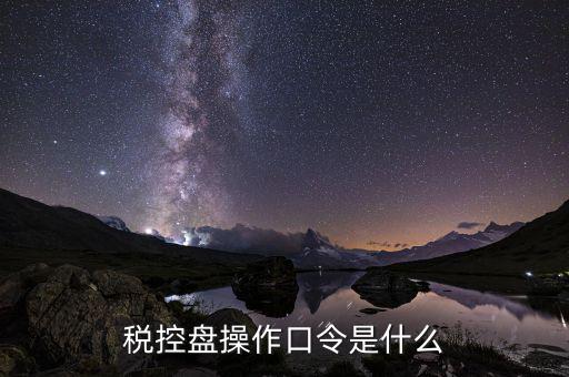 金稅口令是什么意思，金稅盤清零后重新領(lǐng)取了發(fā)票開票口令是什么