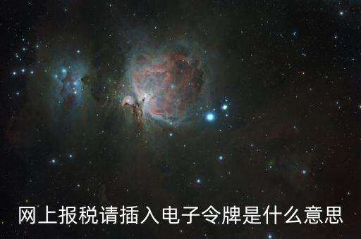 報稅數(shù)字證書口令是什么意思，網(wǎng)上報稅請插入電子令牌是什么意思