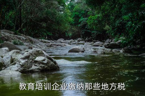 教育培訓(xùn)班要交什么稅，教育培訓(xùn)企業(yè)繳納那些地方稅