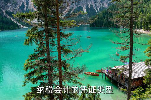 應(yīng)納稅憑證種類是什么意思，總賬里關(guān)于記賬憑證的種類和號(hào)數(shù)是什么意思