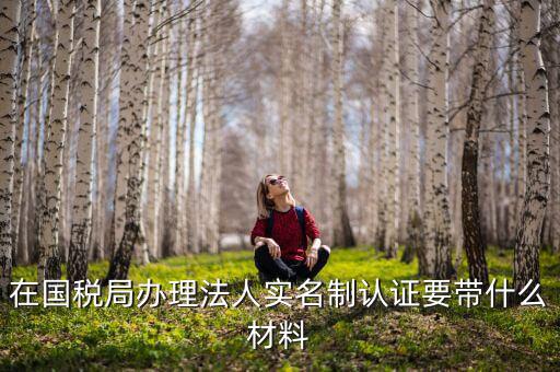 實(shí)名認(rèn)證稅務(wù)需要什么資料，在國(guó)稅局辦理法人實(shí)名制認(rèn)證要帶什么材料