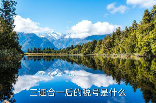 無證合一后稅號是什么，統(tǒng)一社會信用代碼和納稅人識別號一樣嗎 三證合一后的稅號是什么