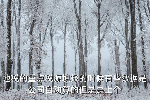 為什么重點(diǎn)稅源是上個月的數(shù)據(jù)，地稅的重點(diǎn)稅源填報的時候有些數(shù)據(jù)是公司自動算的但是是上個