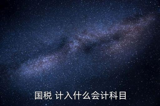 國稅申報記入什么科目，付國稅應(yīng)計(jì)入什么科目求解啊